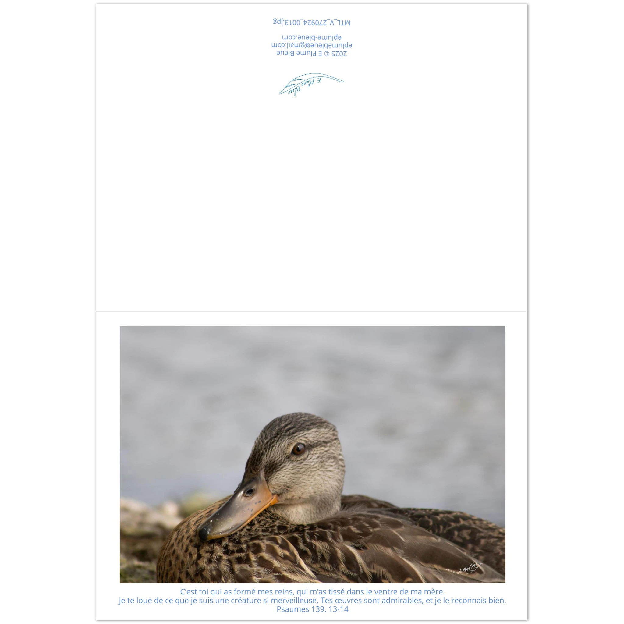 Carte-devant-et-arriere-Psaumes-139-13-14-Colvert