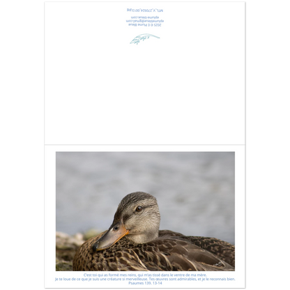 Carte-devant-et-arriere-Psaumes-139-13-14-Colvert