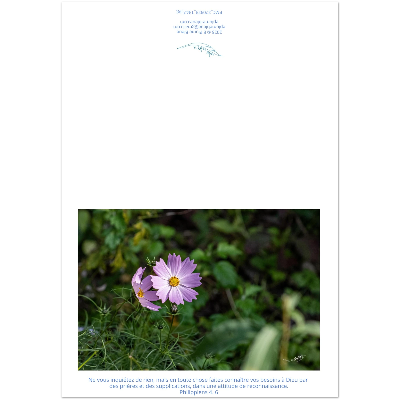 Carte-fleur-Sangha-Phil-4-6-montage