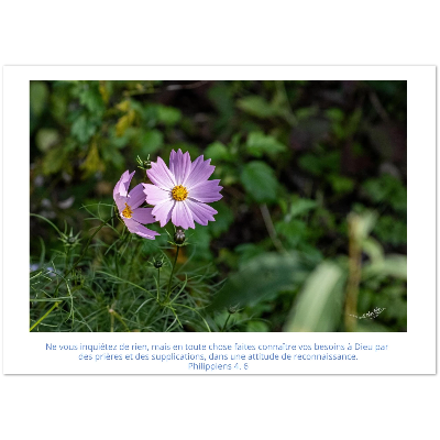 Carte-fleur-Sangha-Phil-4-6