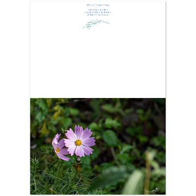 Carte-fleur-Sangha-montage