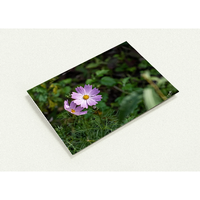 Carte-fleur-Sangha-profil