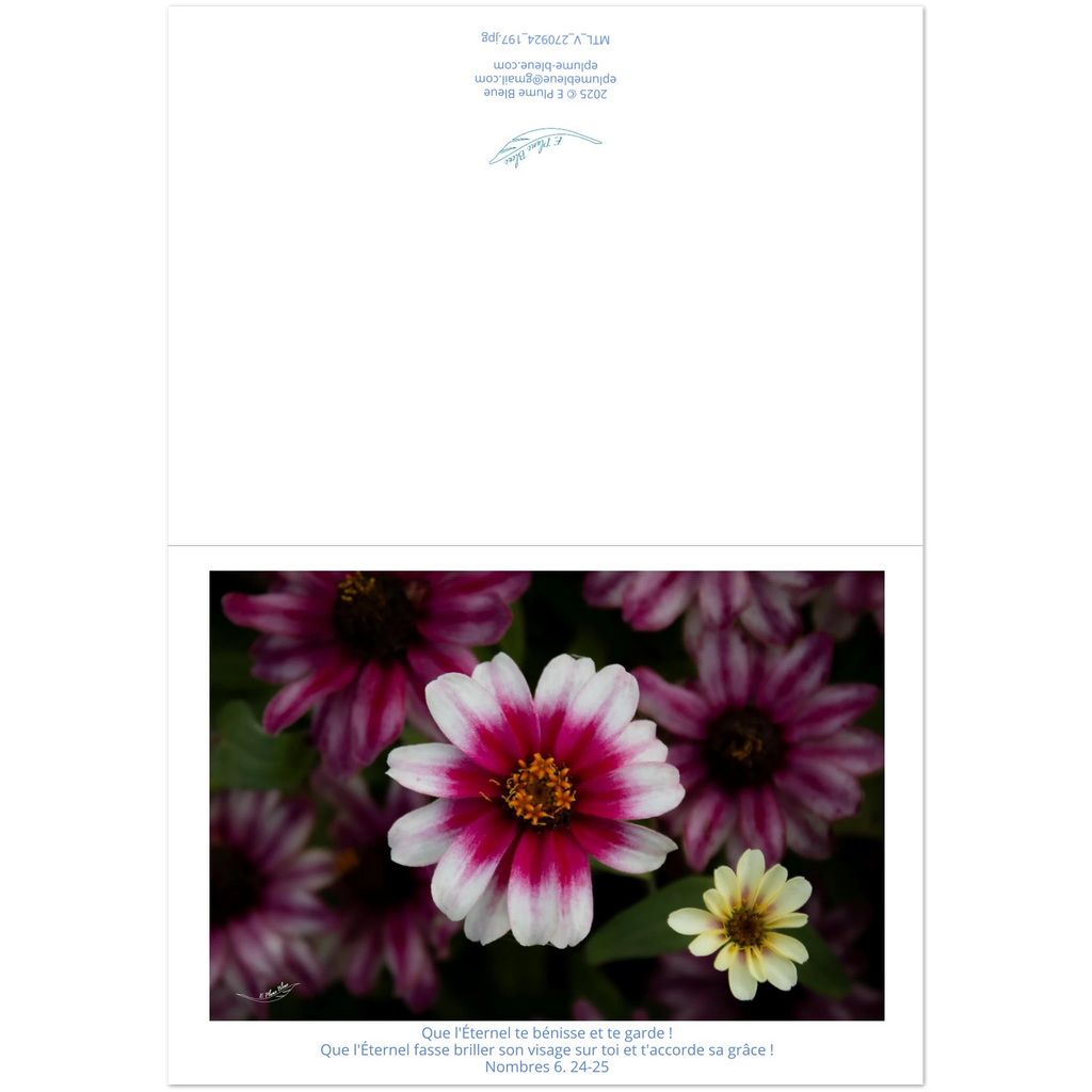 Carte-fleur-rose-et-blanche-Nb-6-24-25-montage