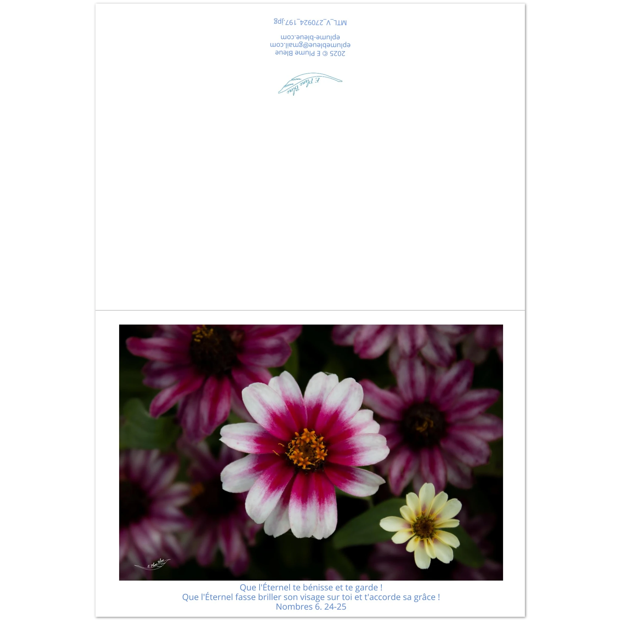 Carte-fleur-rose-et-blanche-Nb-6-24-25-montage