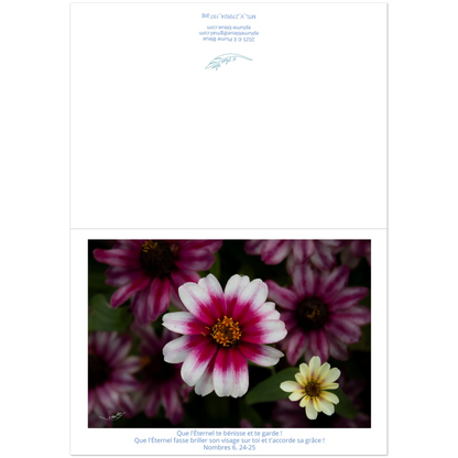 Carte-fleur-rose-et-blanche-Nb-6-24-25-montage