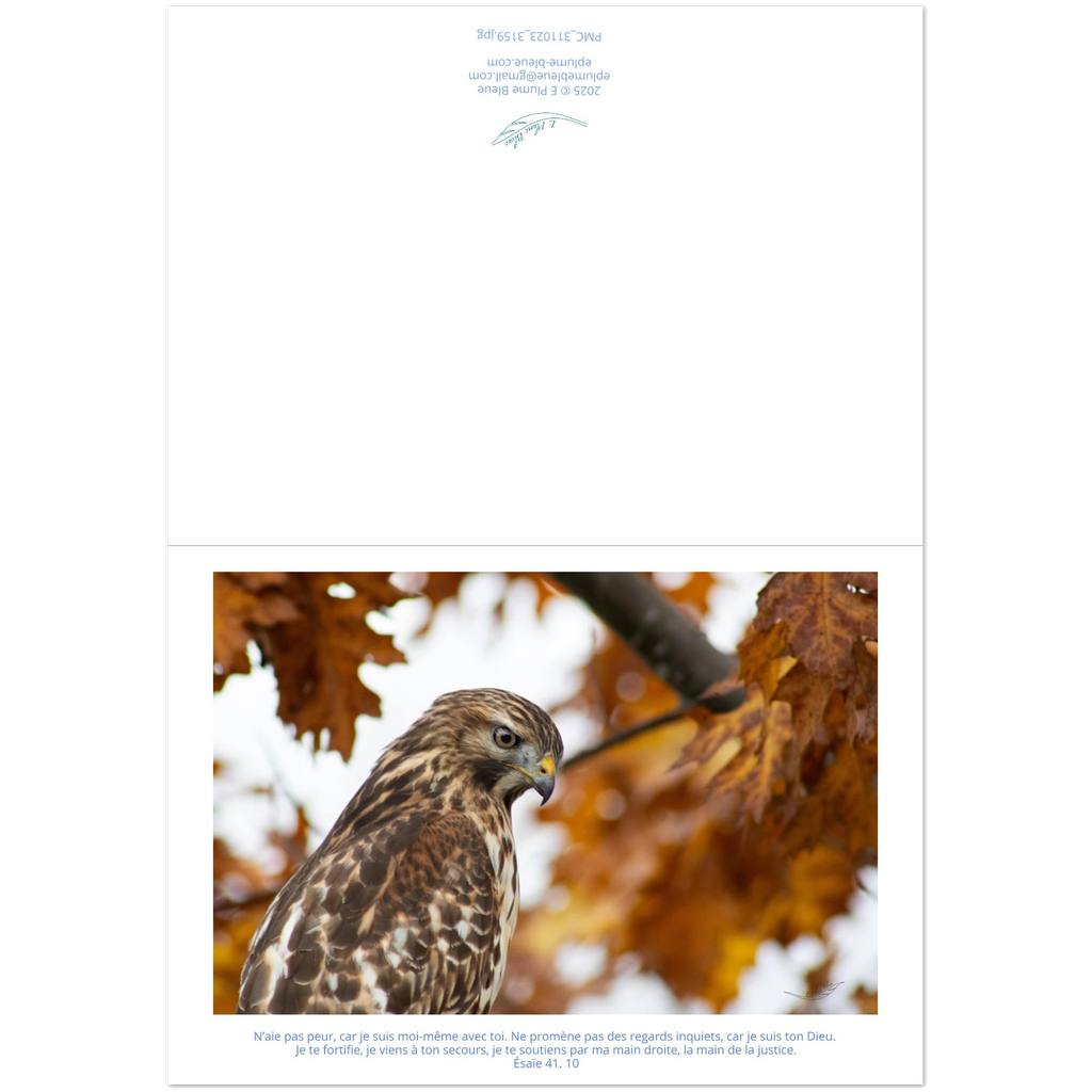 Devant-et-arriere-carte-profil-buse-Esaie-41-10