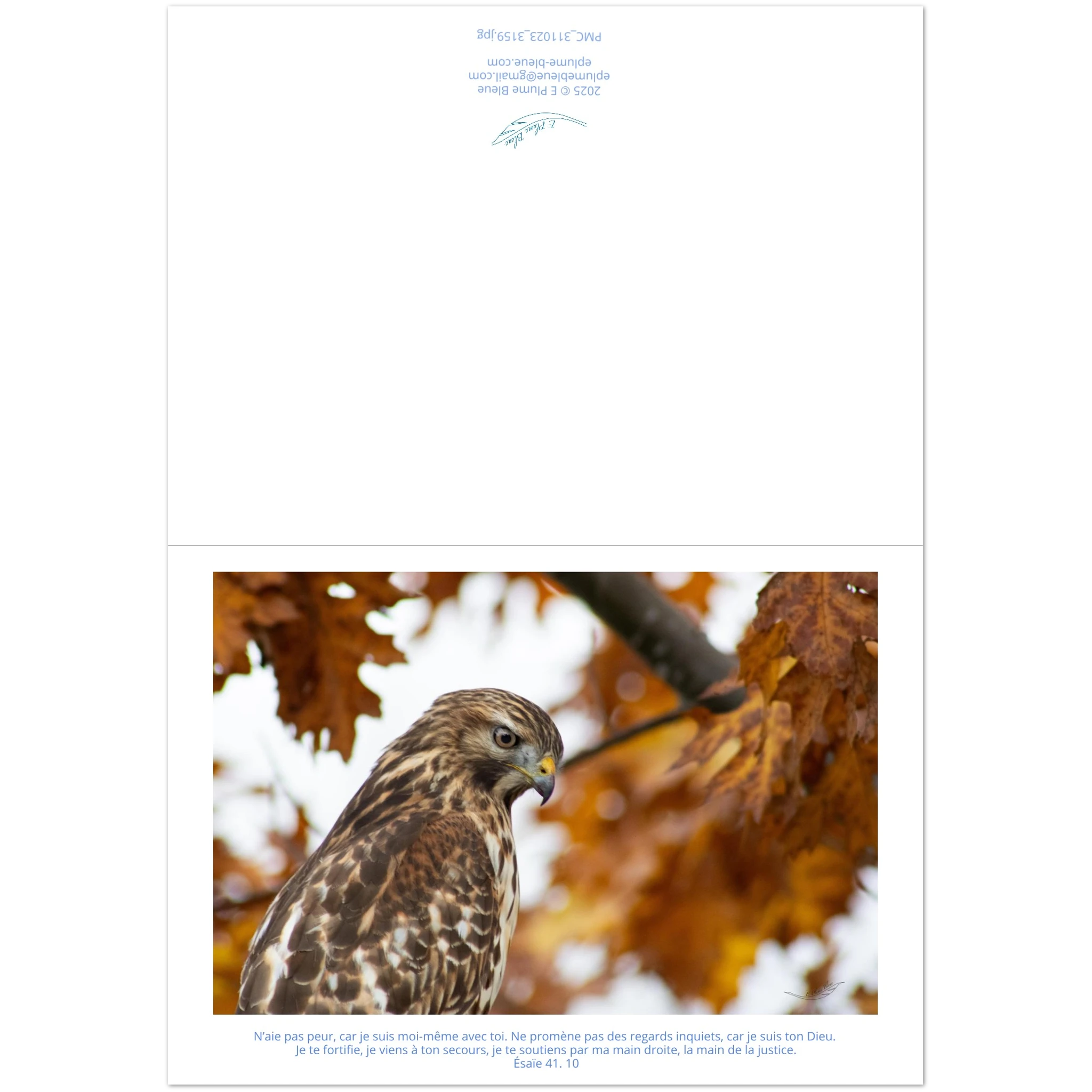 Devant-et-arriere-carte-profil-buse-Esaie-41-10
