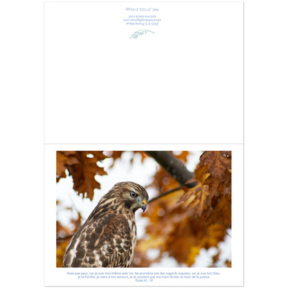 Devant-et-arriere-carte-profil-buse-Esaie-41-10