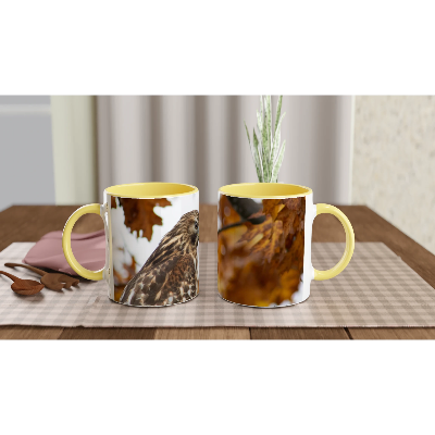 Profil-Buse-montage-tasse