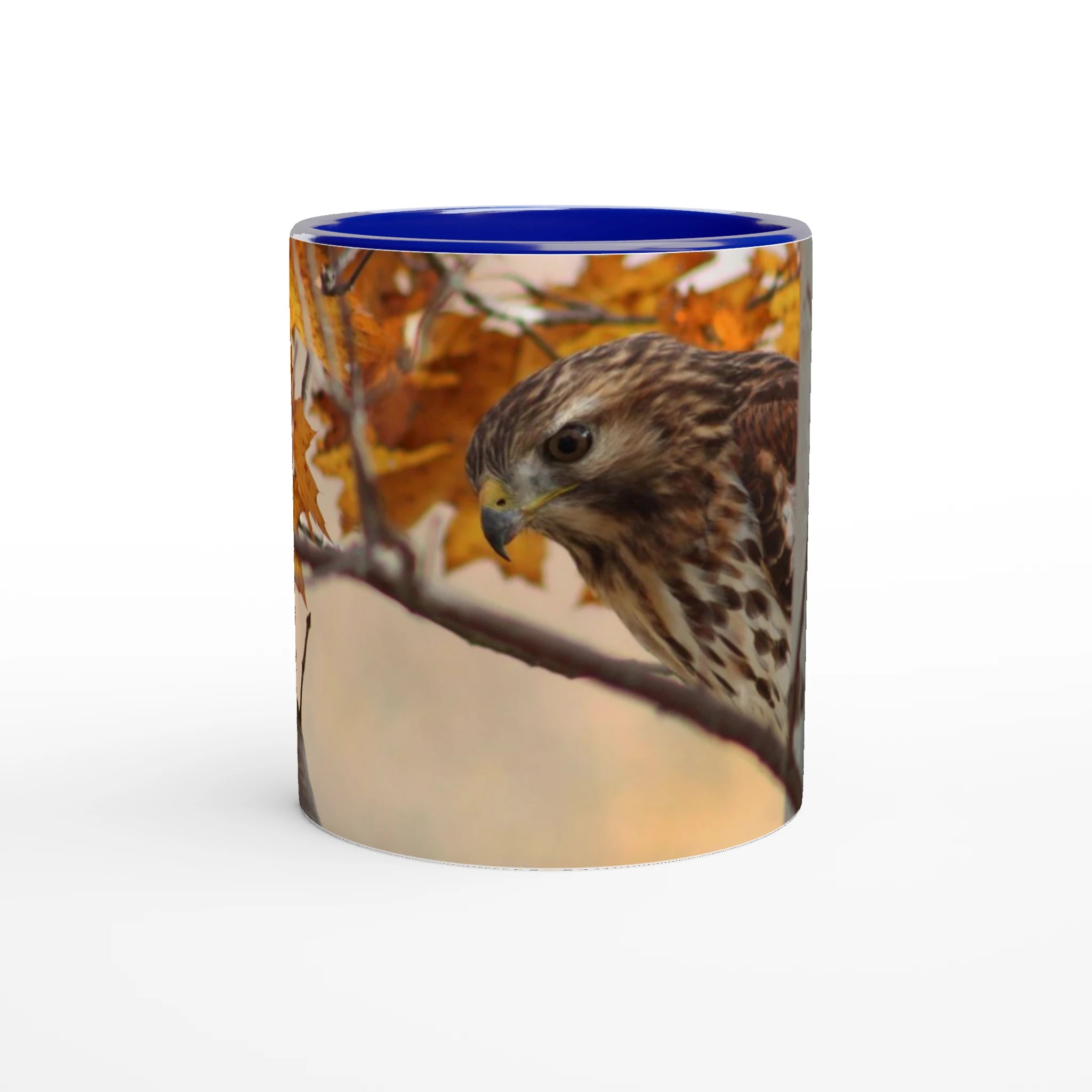 Tasse-Buse-timide-bleue