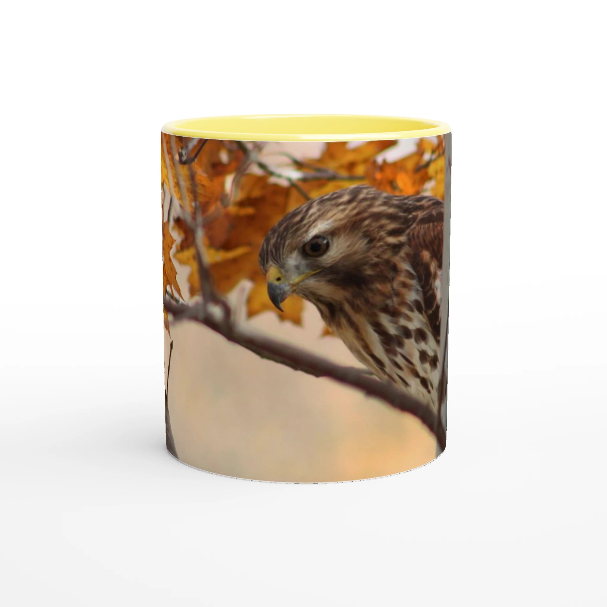 Tasse-Buse-timide-jaune