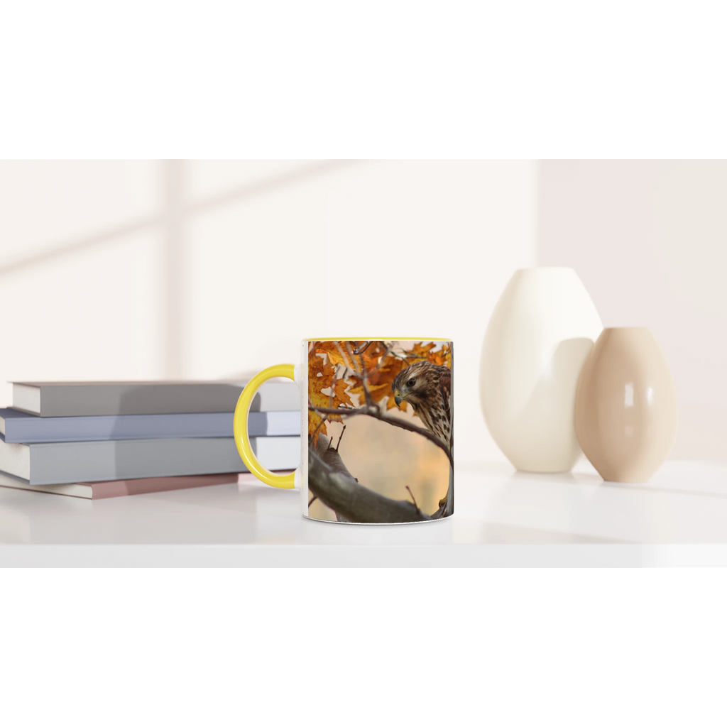 Tasse-Buse-timide-montage-Mat-6-33-34-devant-2