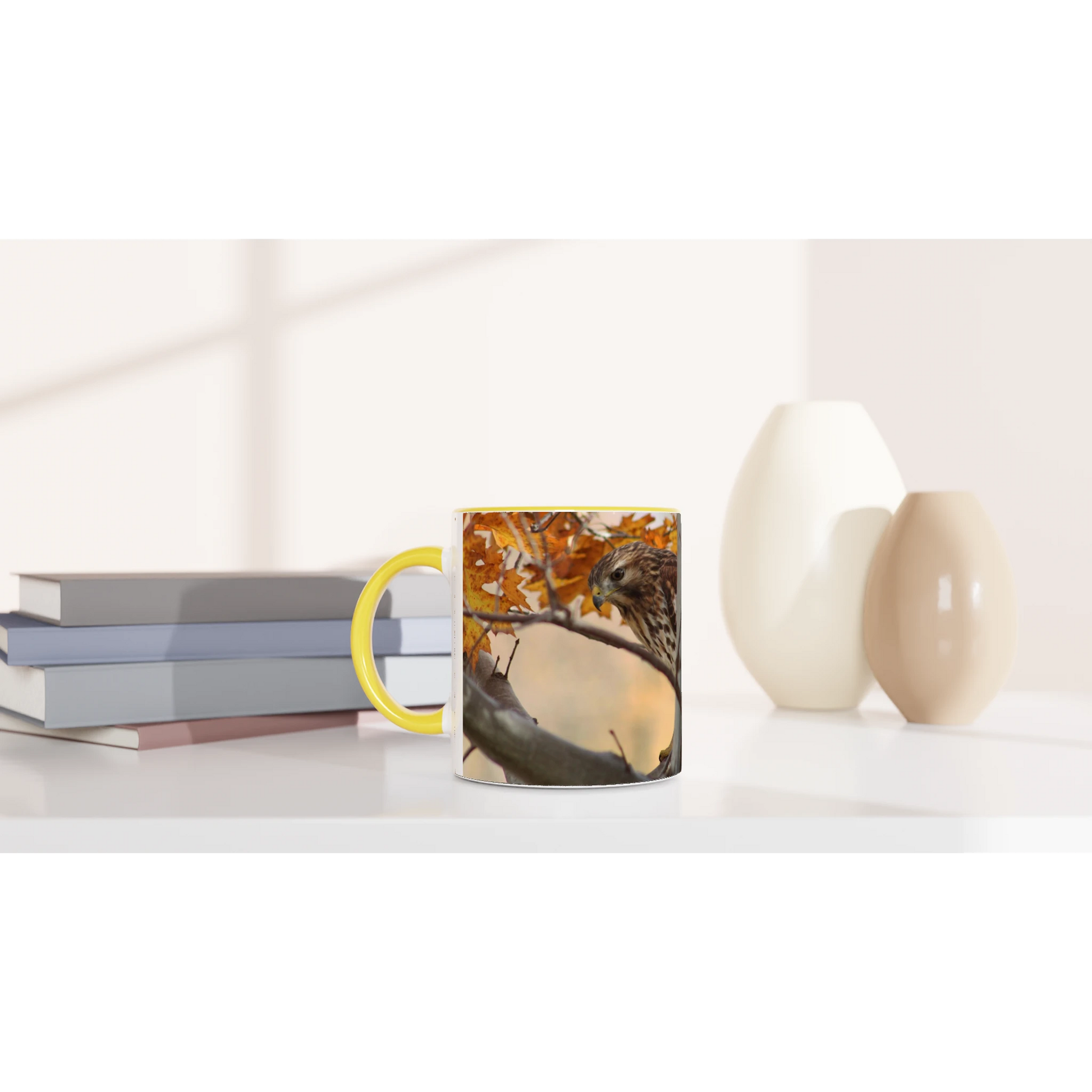 Tasse-Buse-timide-montage-Mat-6-33-34-devant-2