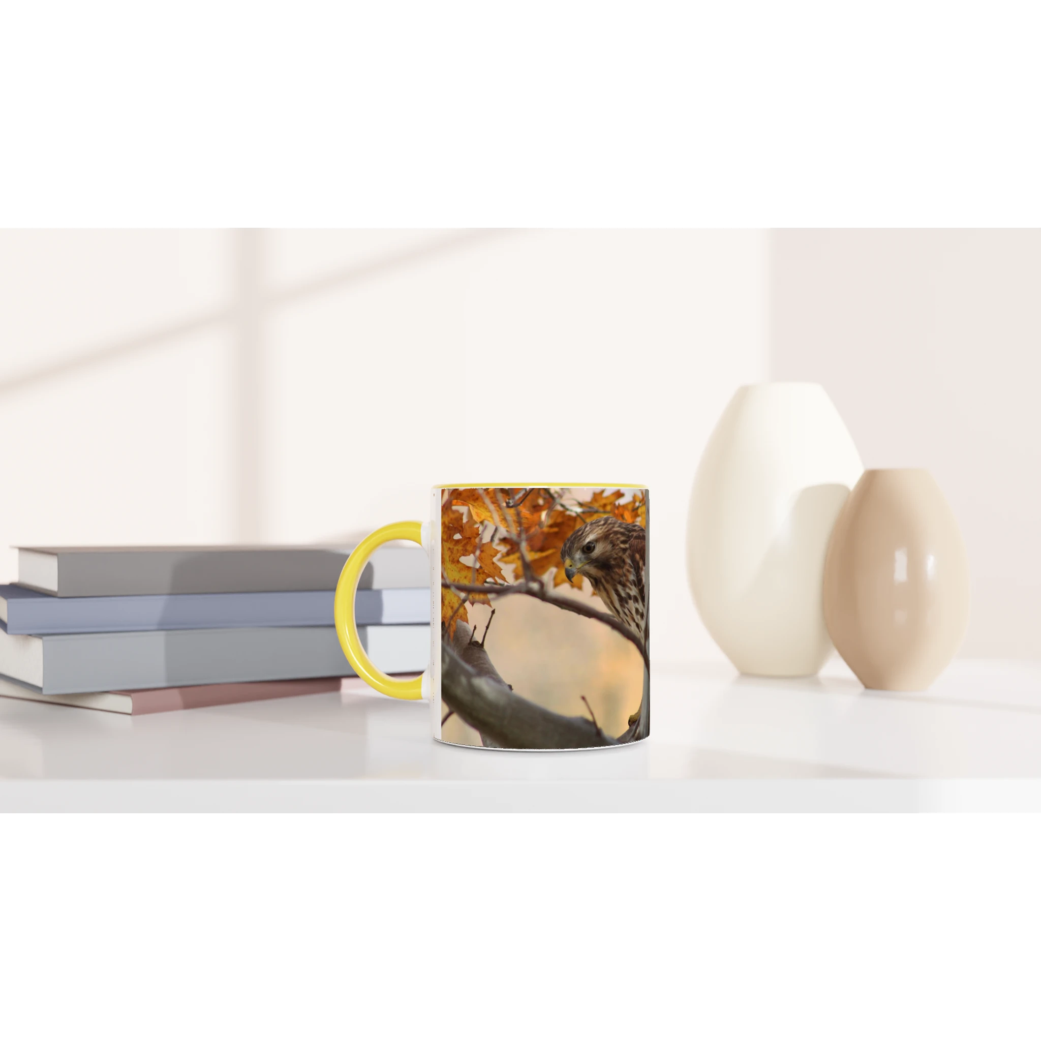 Tasse-Buse-timide-montage-Mat-6-33-34-devant-2
