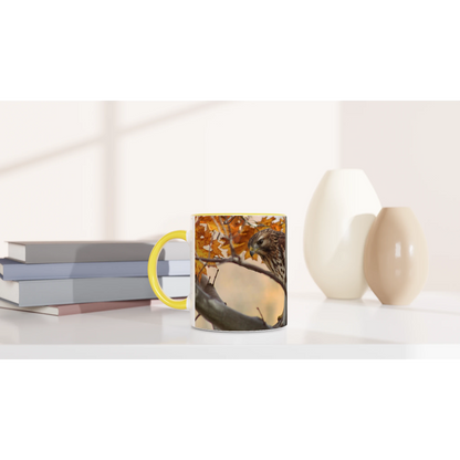 Tasse-Buse-timide-montage-Mat-6-33-34-devant-2
