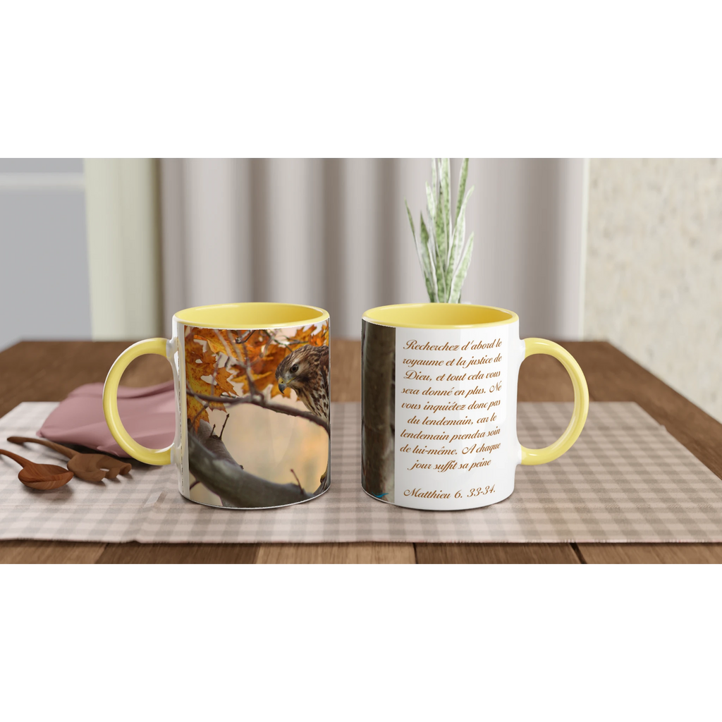 Tasse-Buse-timide-montage-Mat-6-33-34-jaune