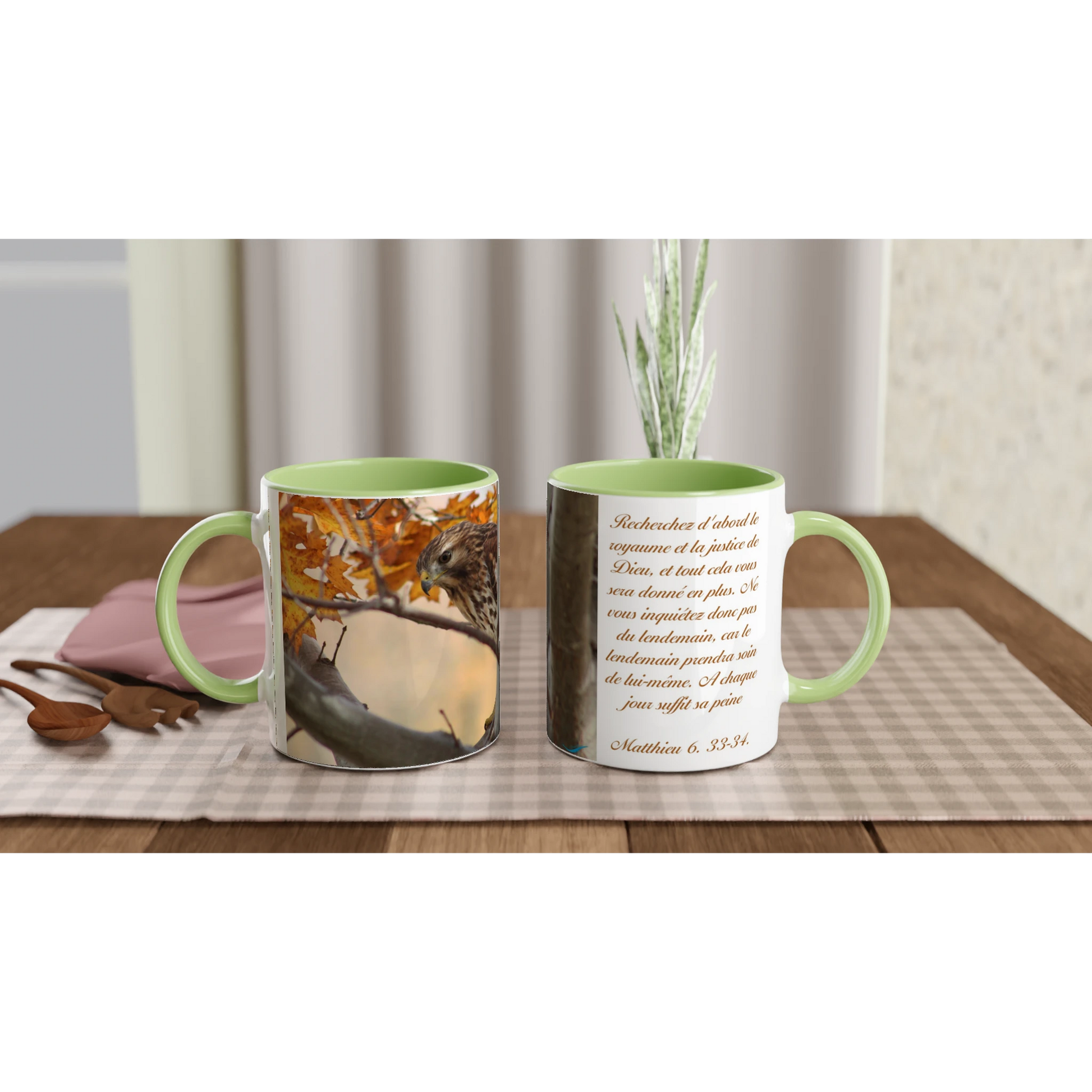 Tasse-Buse-timide-montage-Mat-6-33-34-verte