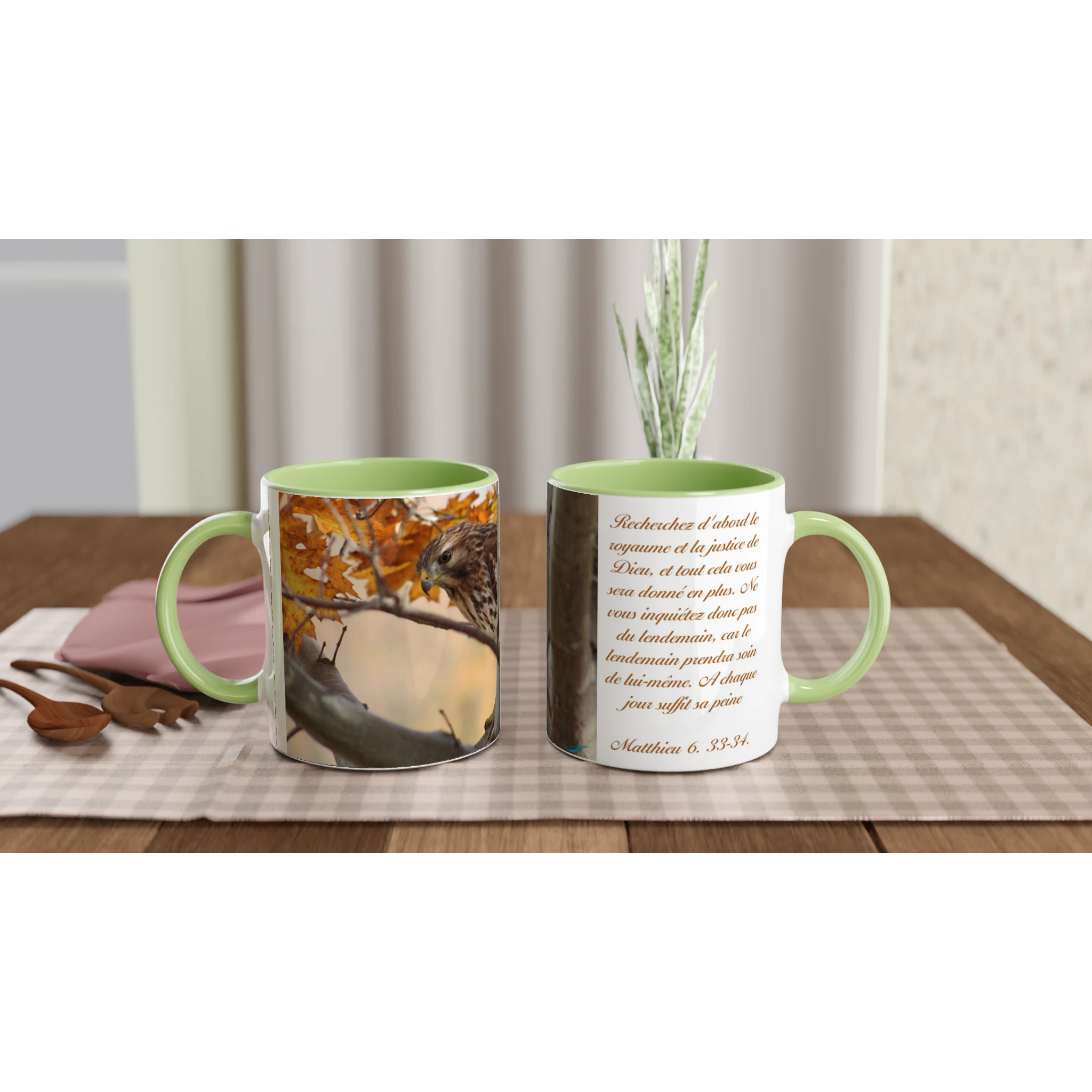 Tasse-Buse-timide-montage-Mat-6-33-34-verte