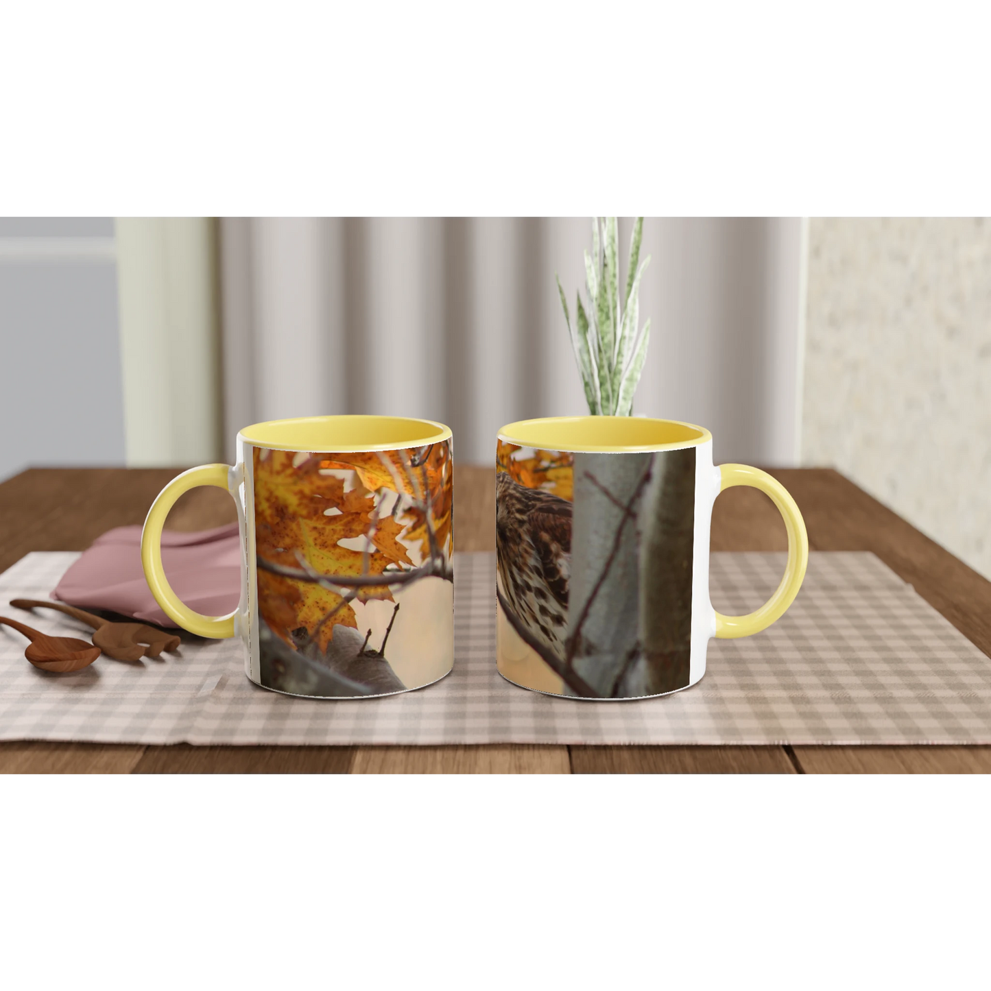 Tasse-Buse-timide-montage