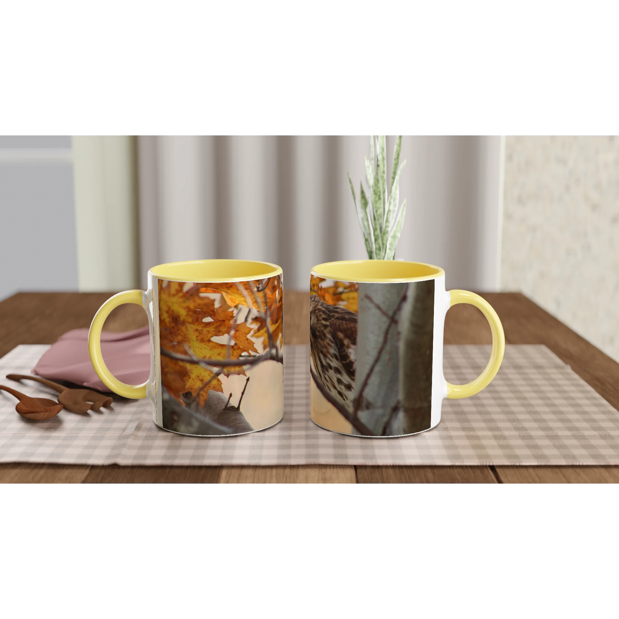 Tasse-Buse-timide-montage