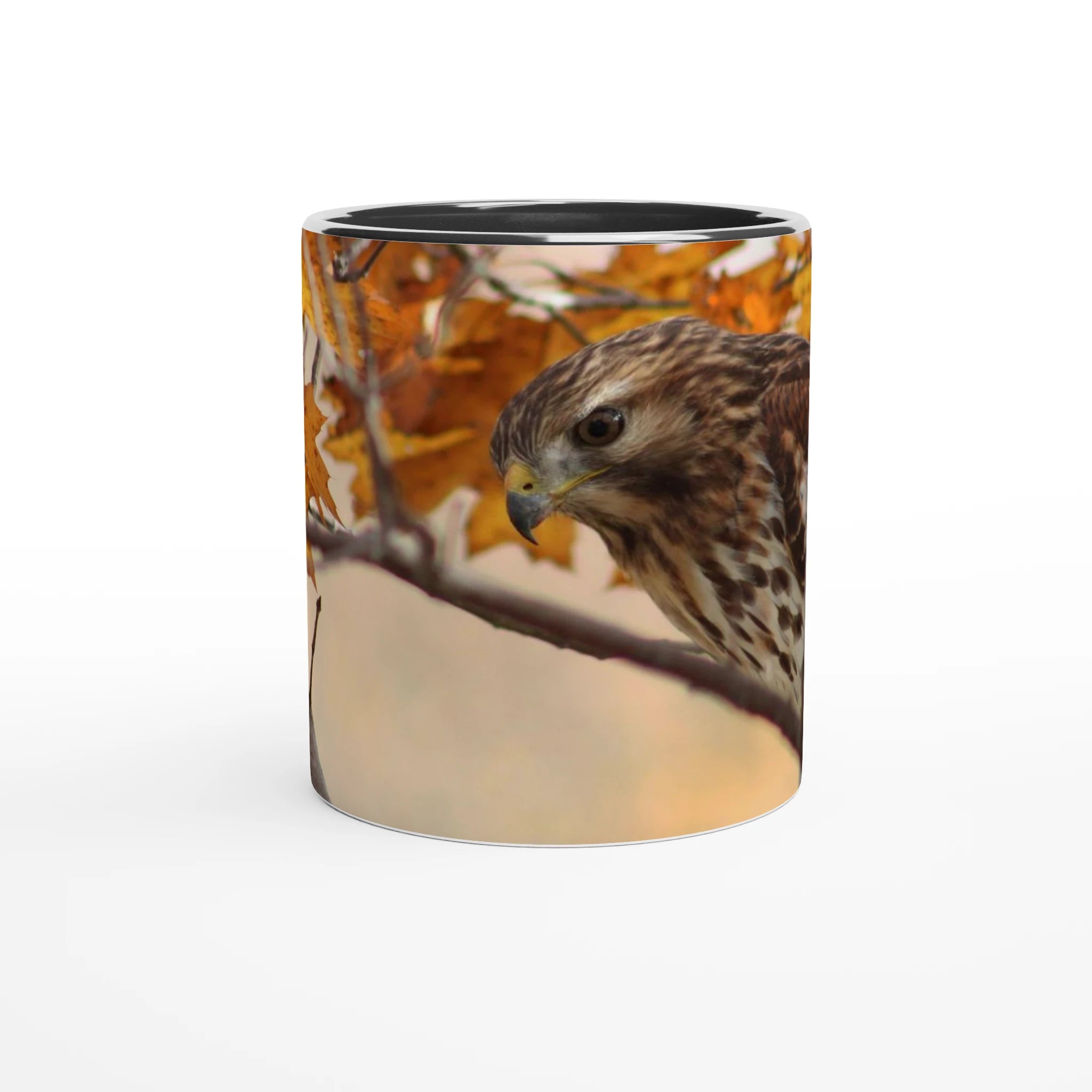 Tasse-Buse-timide-noire