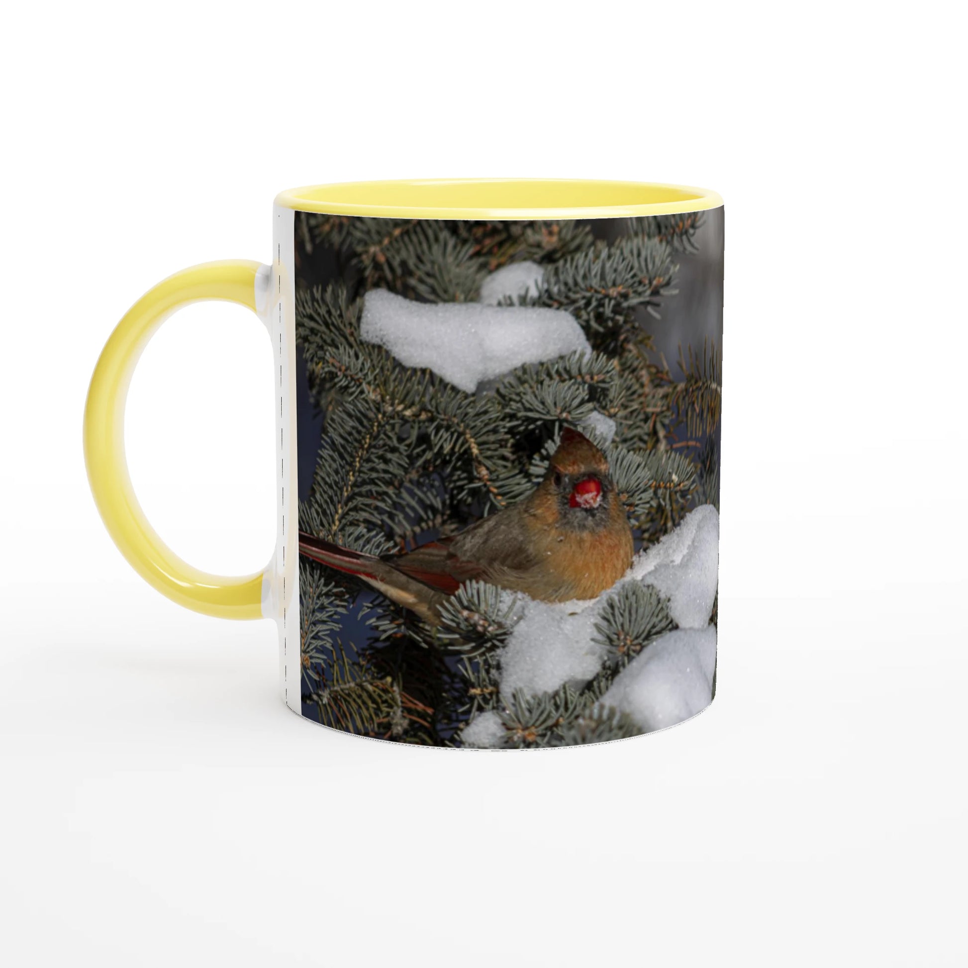 Tasse-Cardinal-femelle-devant-Luc-2-14
