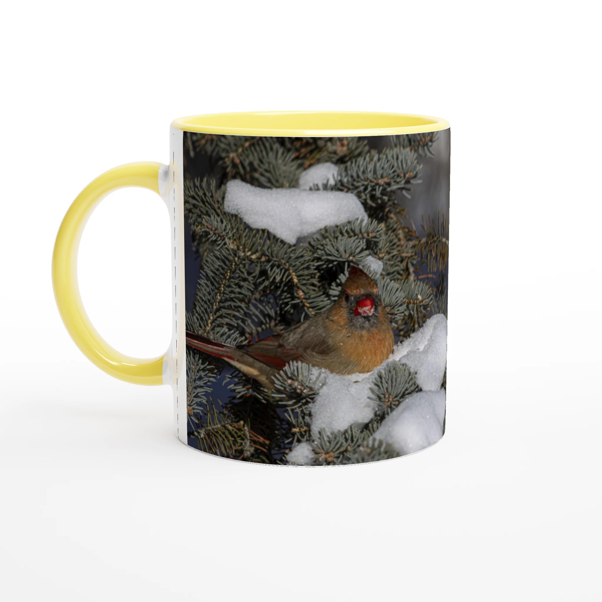 Tasse-Cardinal-femelle-devant-Luc-2-14