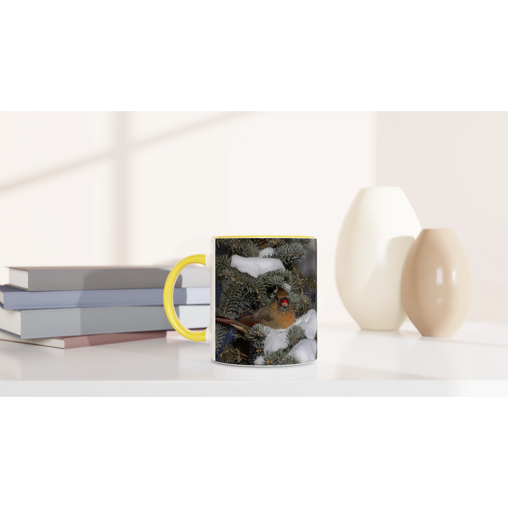 Tasse-Cardinal-femelle-montage-devant-Luc-2-14