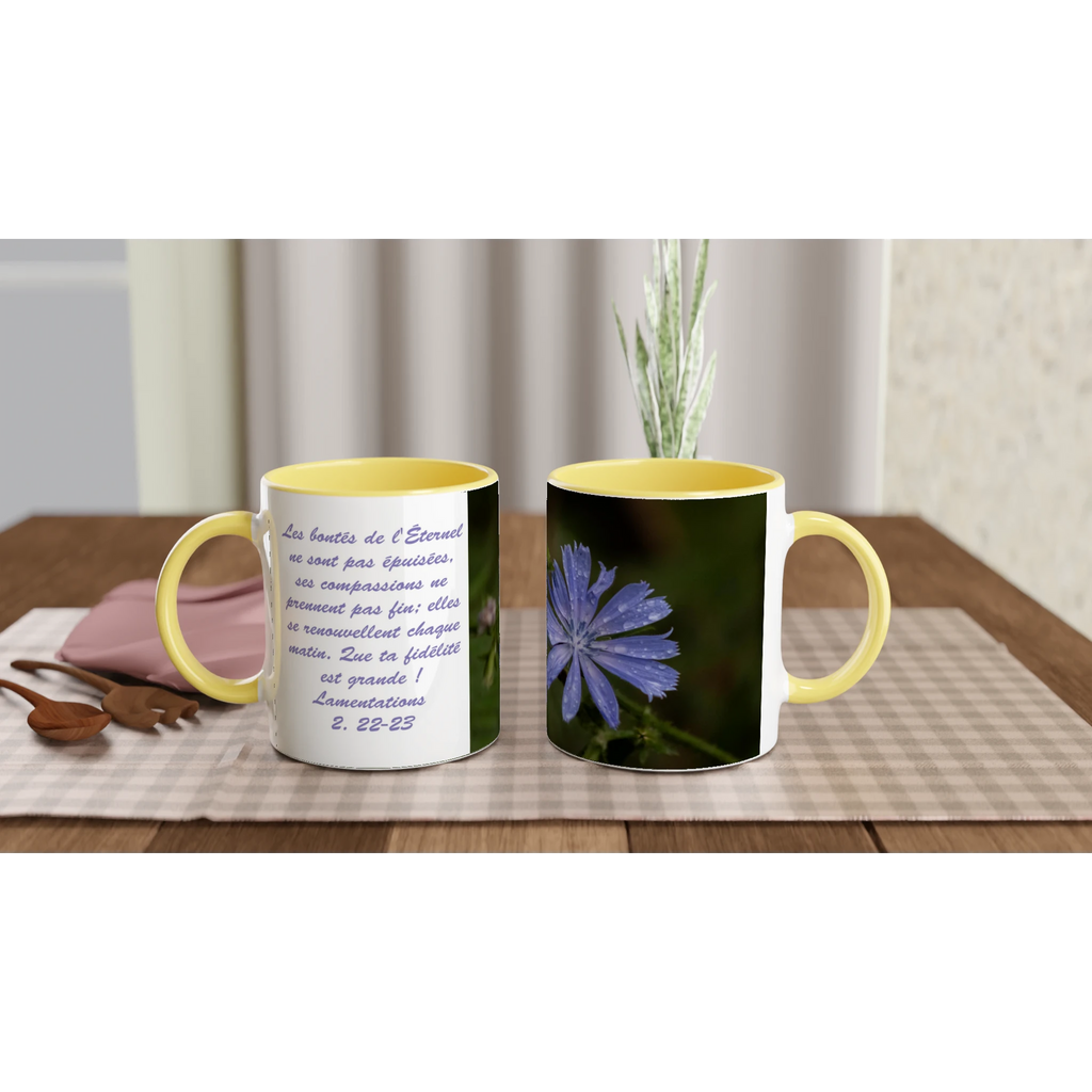 Tasse-Chicoree-sauvage-montage-Lam-2-22-23-jaune