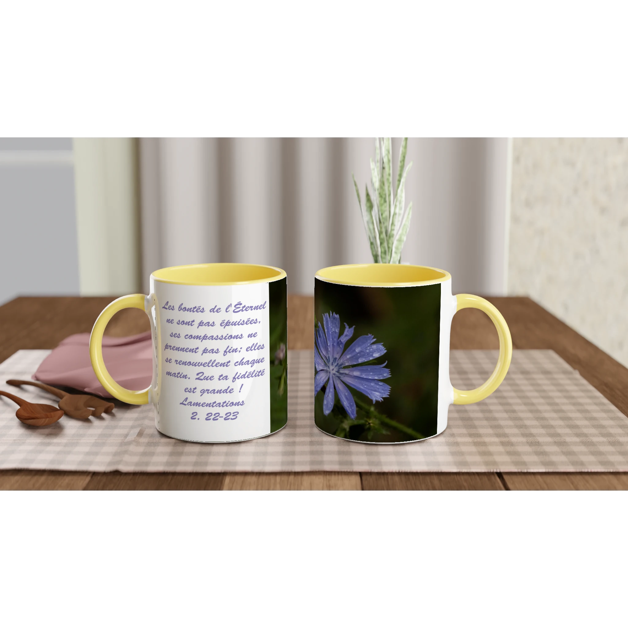Tasse-Chicoree-sauvage-montage-Lam-2-22-23-jaune