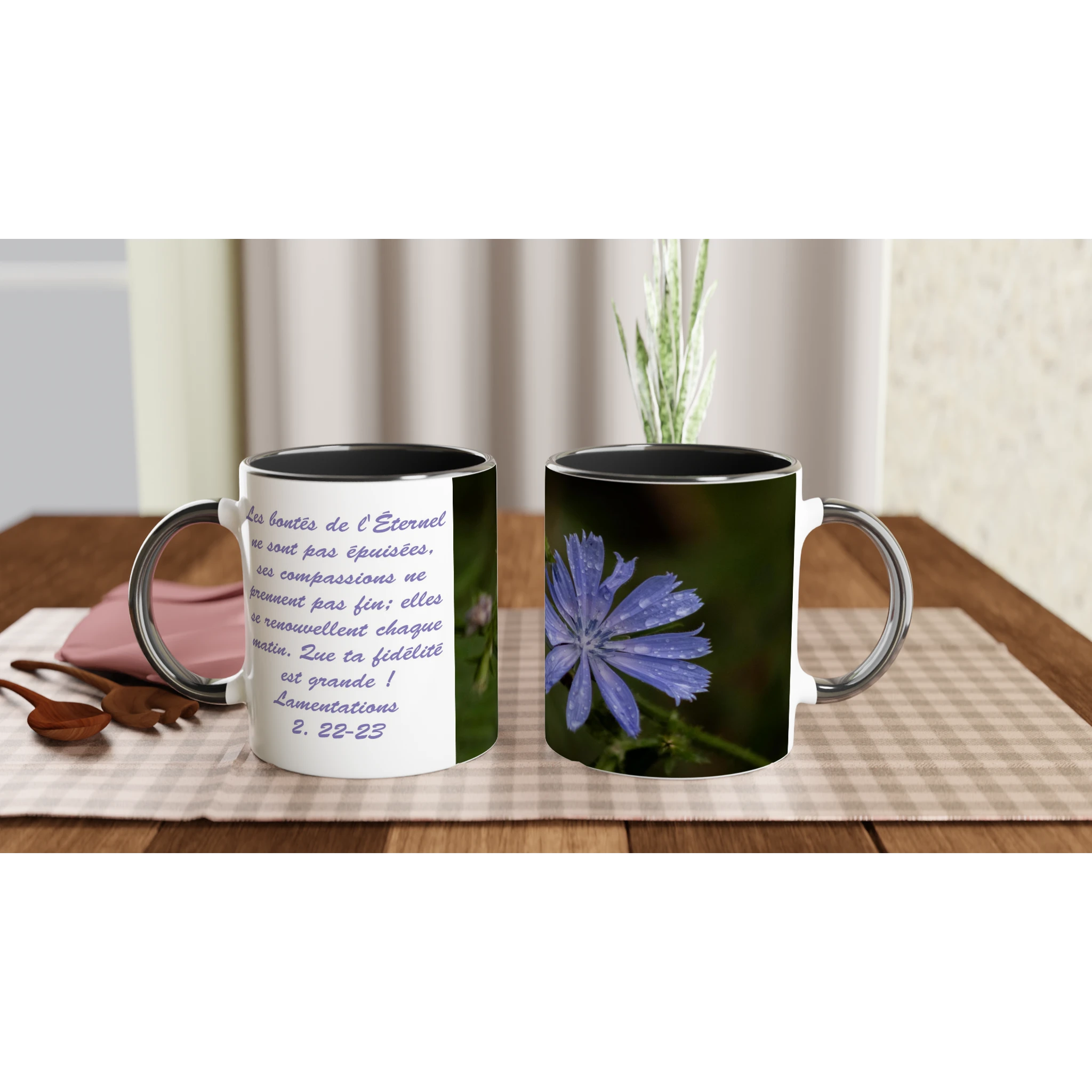 Tasse-Chicoree-sauvage-montage-Lam-2-22-23-noire