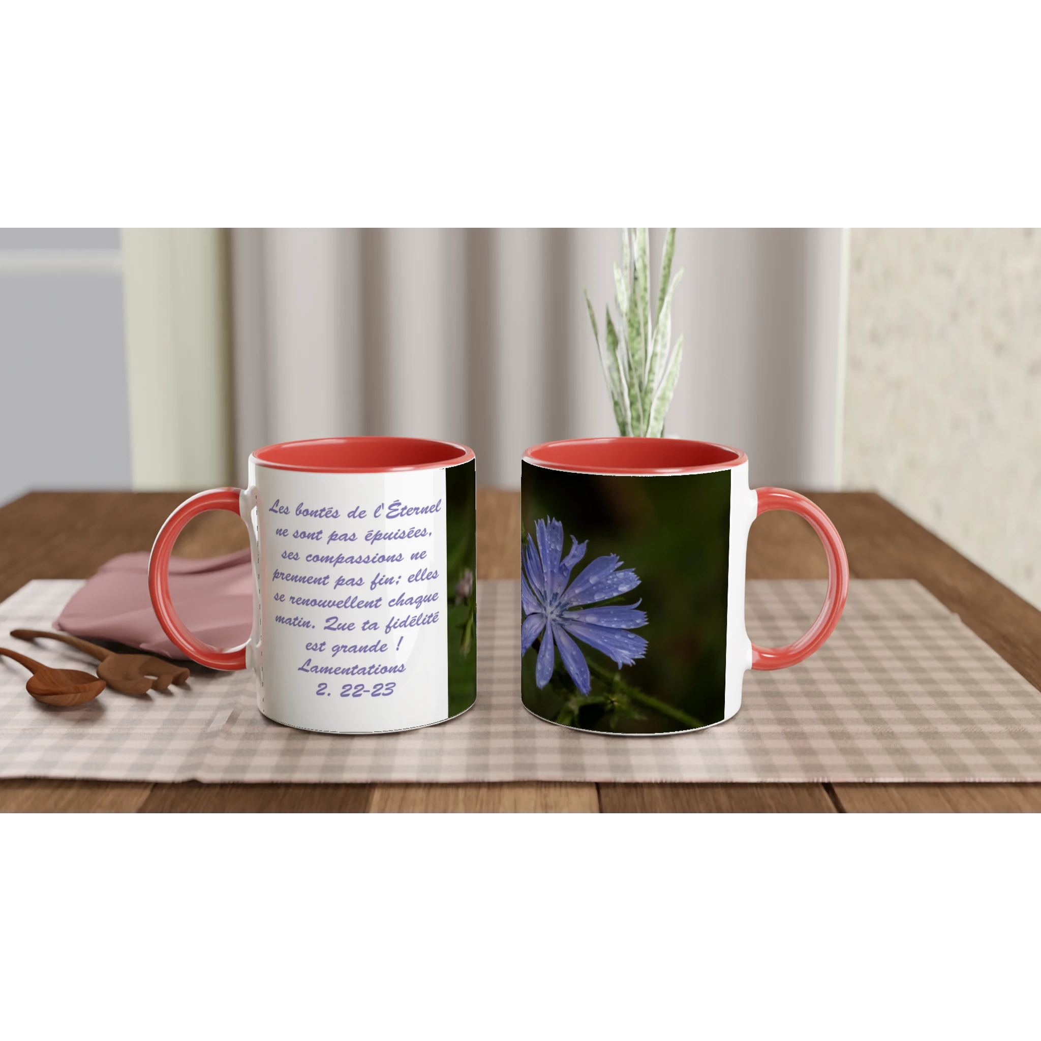 Tasse-Chicoree-sauvage-montage-Lam-2-22-23-rouge