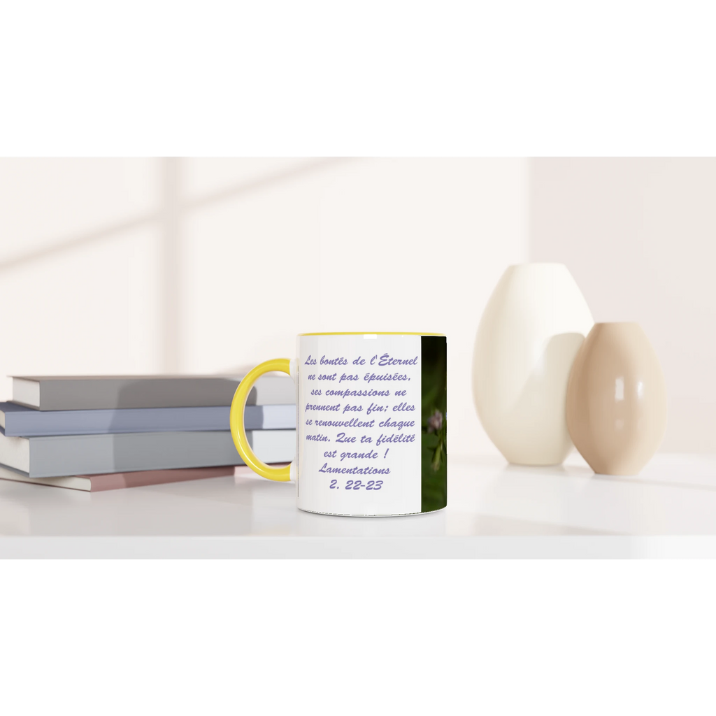 Tasse-Chicoree-sauvage-montage-Lam-2-22-23