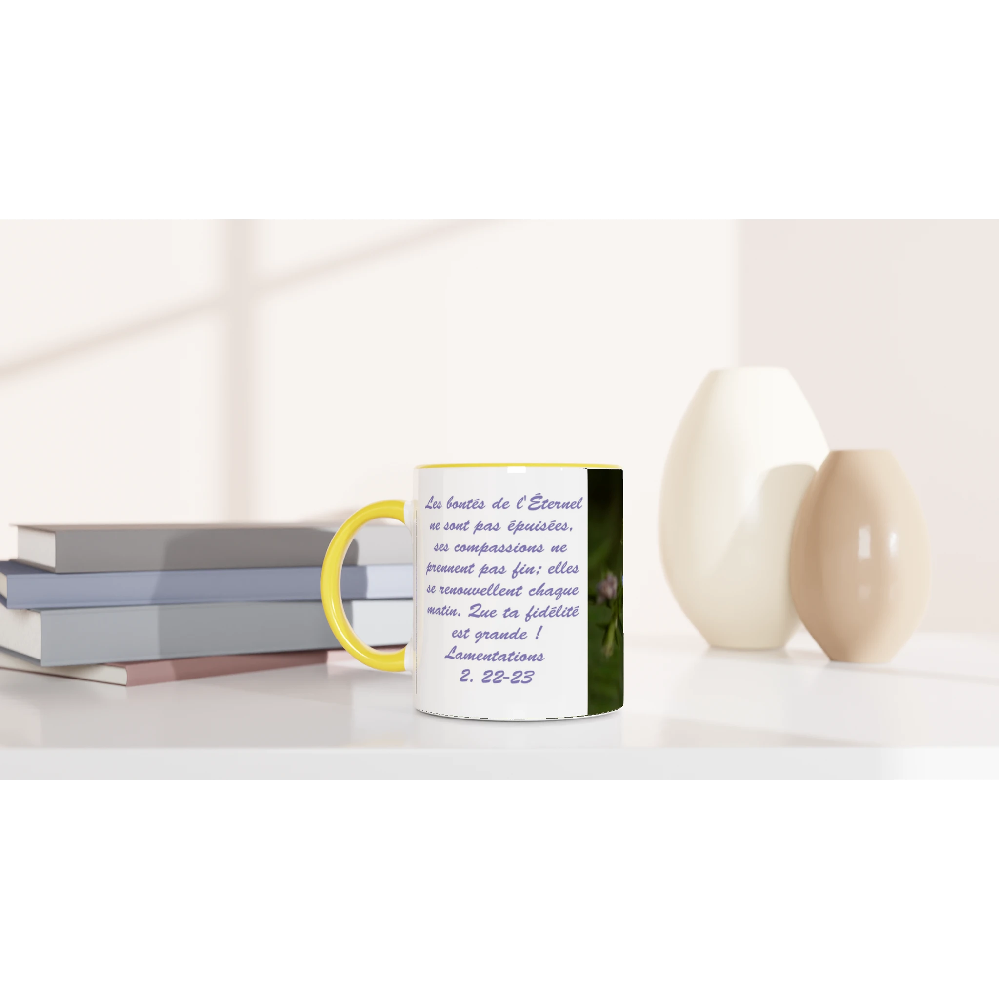 Tasse-Chicoree-sauvage-montage-Lam-2-22-23
