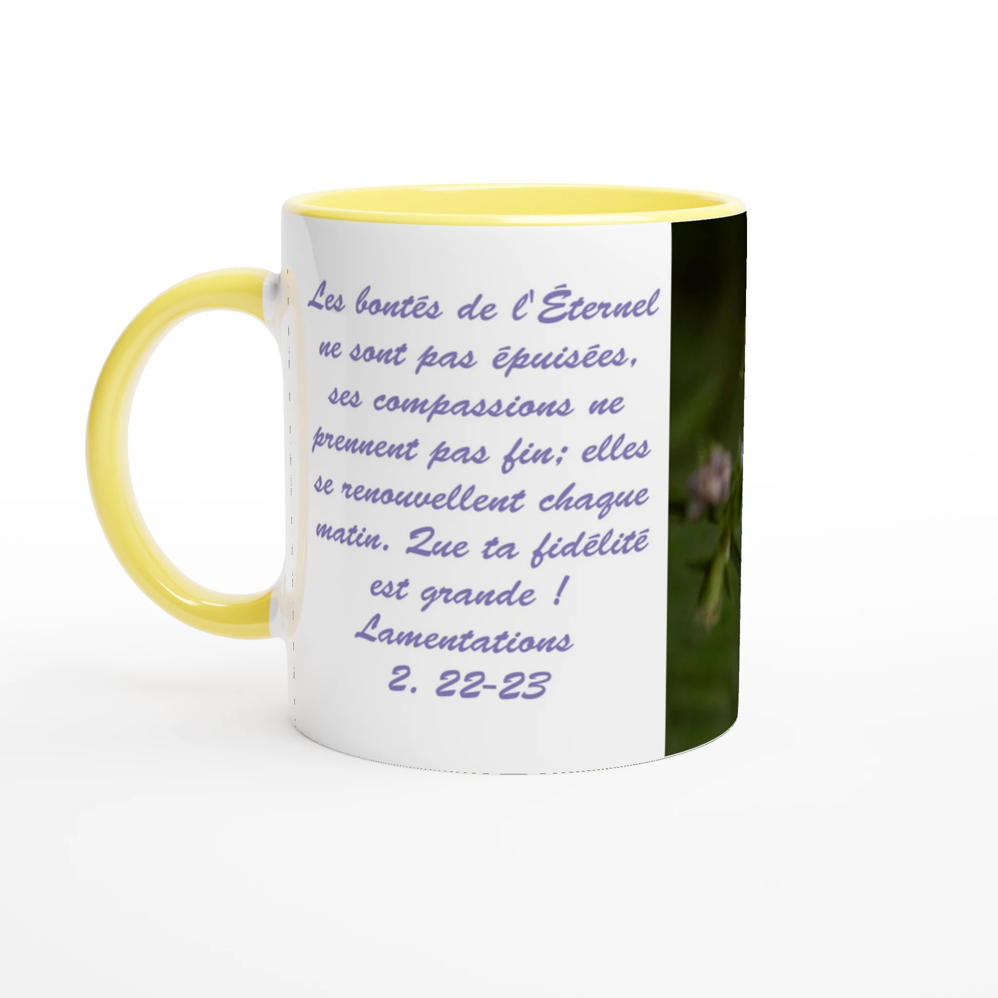 Tasse-Chicoree-sauvage-verset-Lam-2-22-23
