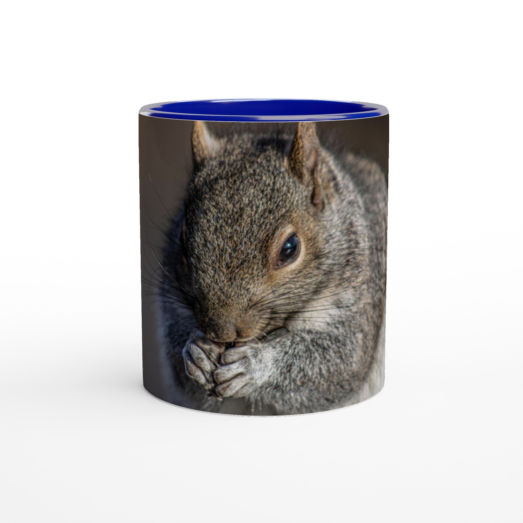 Tasse-Ecureuil-bleue