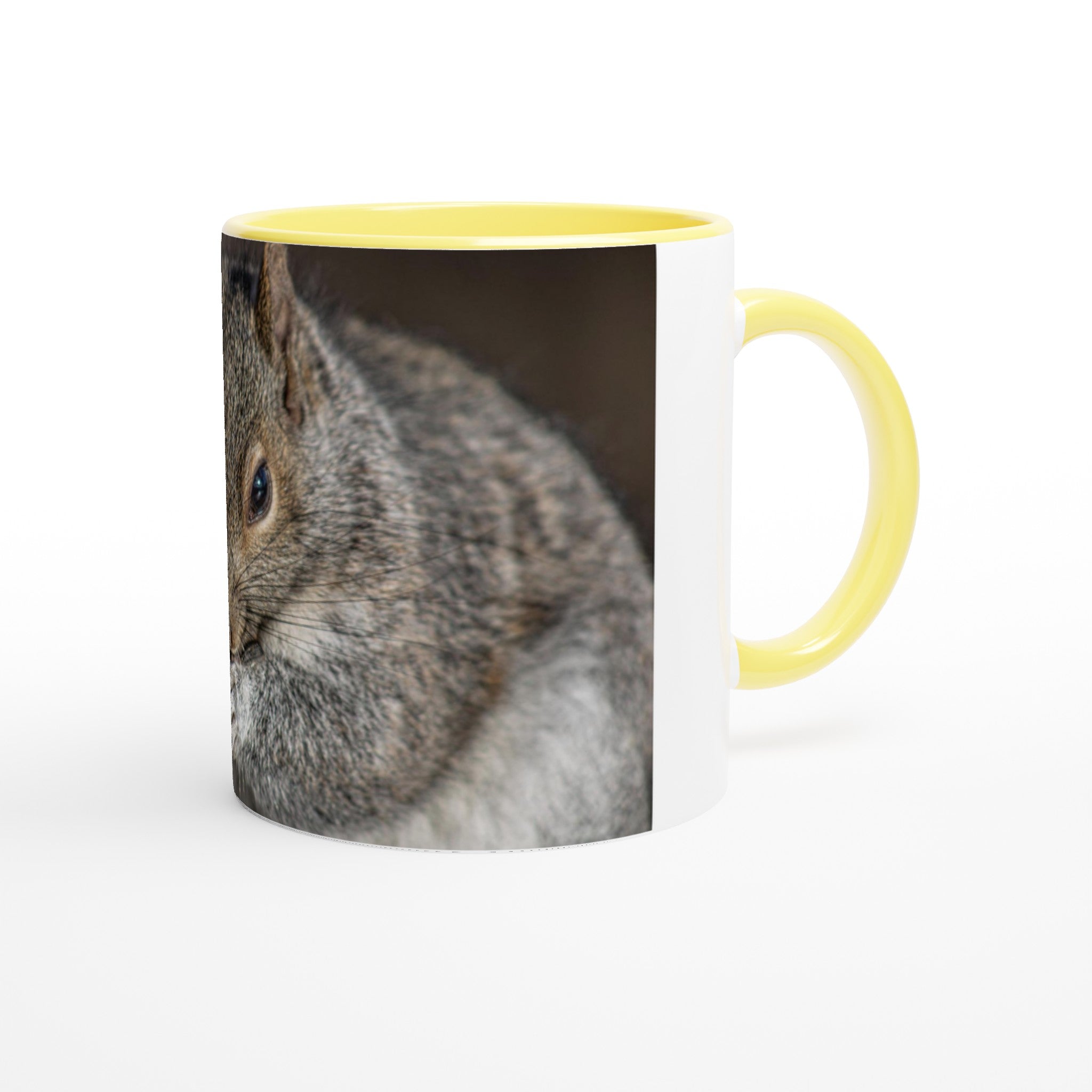 Tasse-Ecureuil-devant