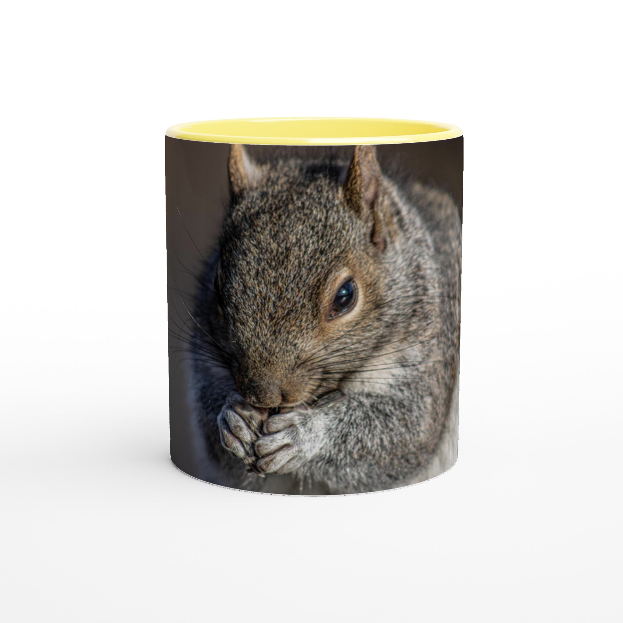 Tasse-Ecureuil-jaune