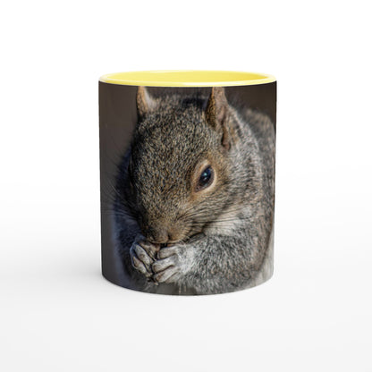 Tasse-Ecureuil-jaune