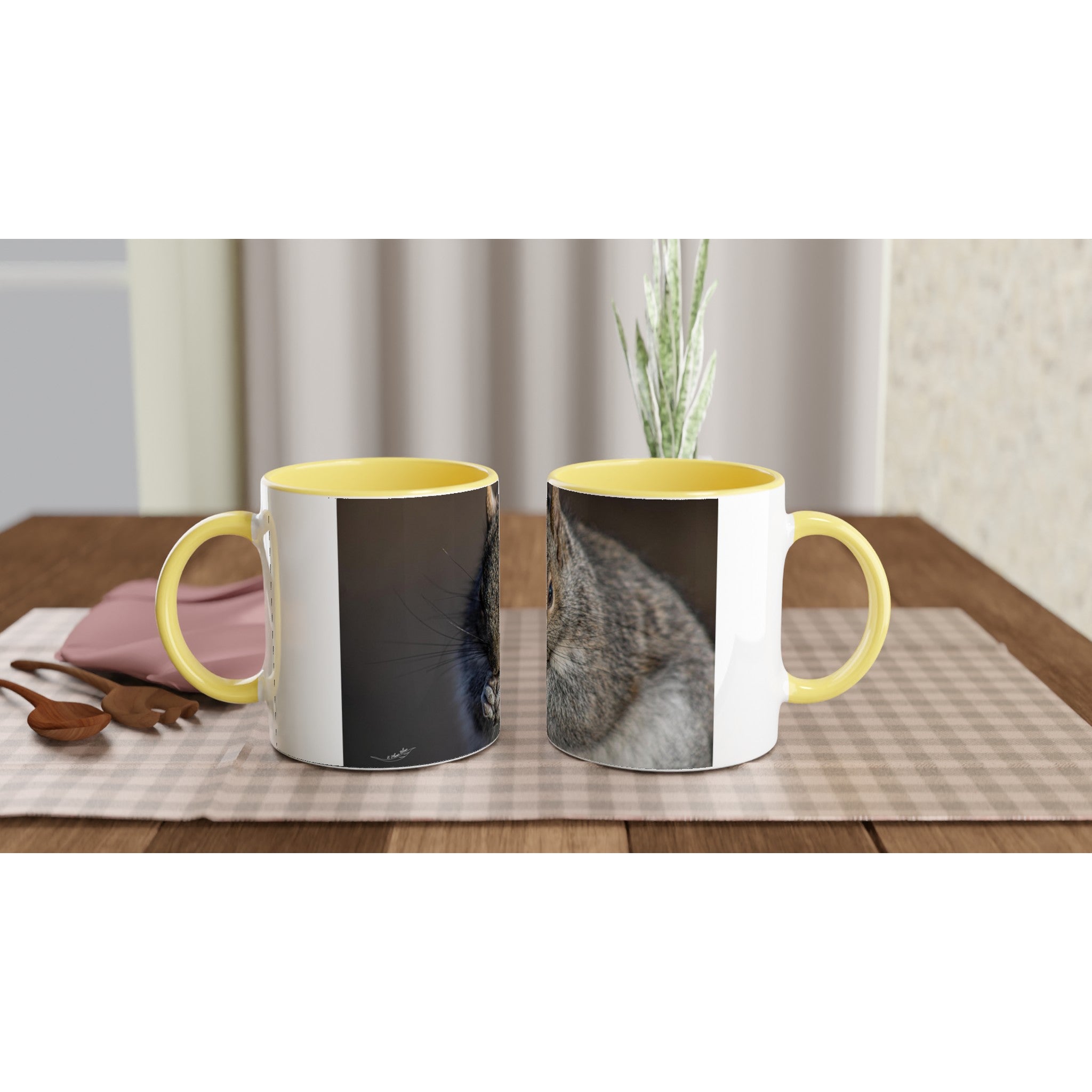 Tasse-Ecureuil-montage