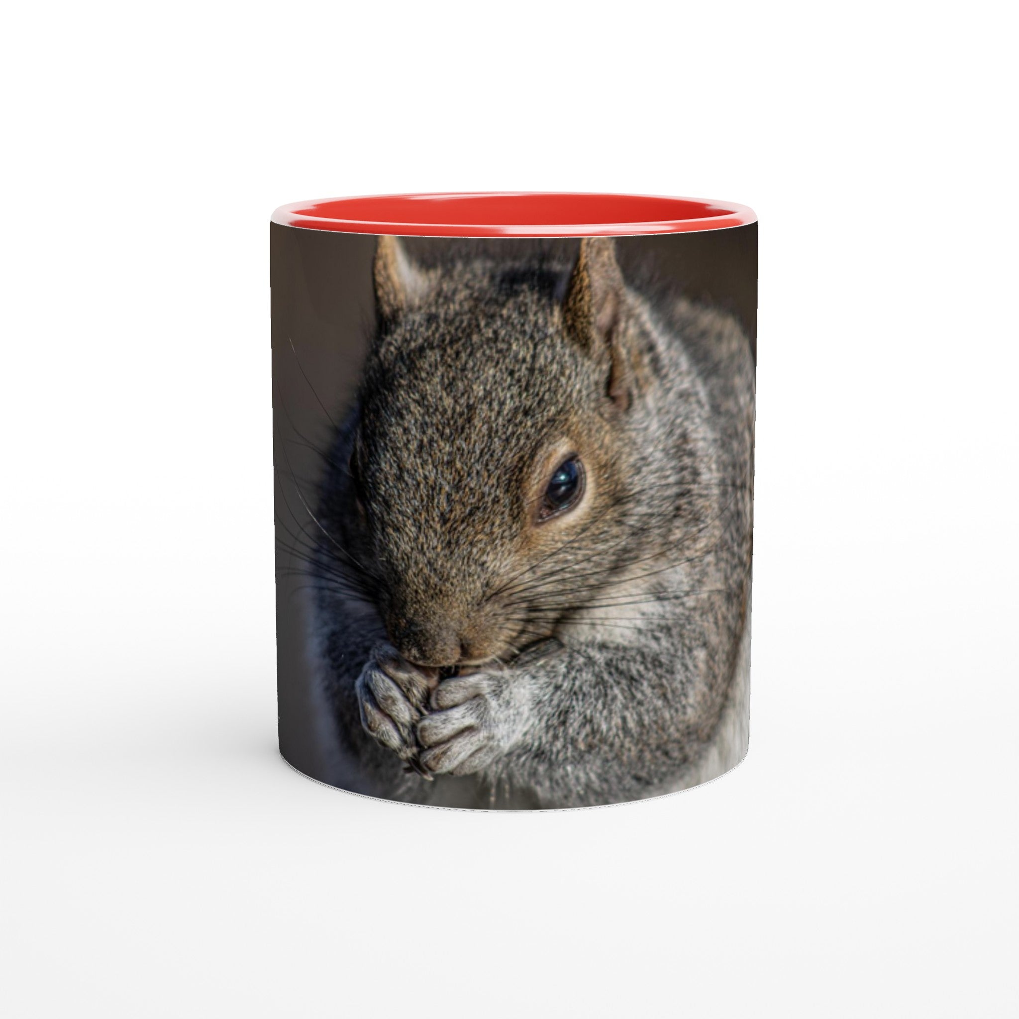 Tasse-Ecureuil-rouge
