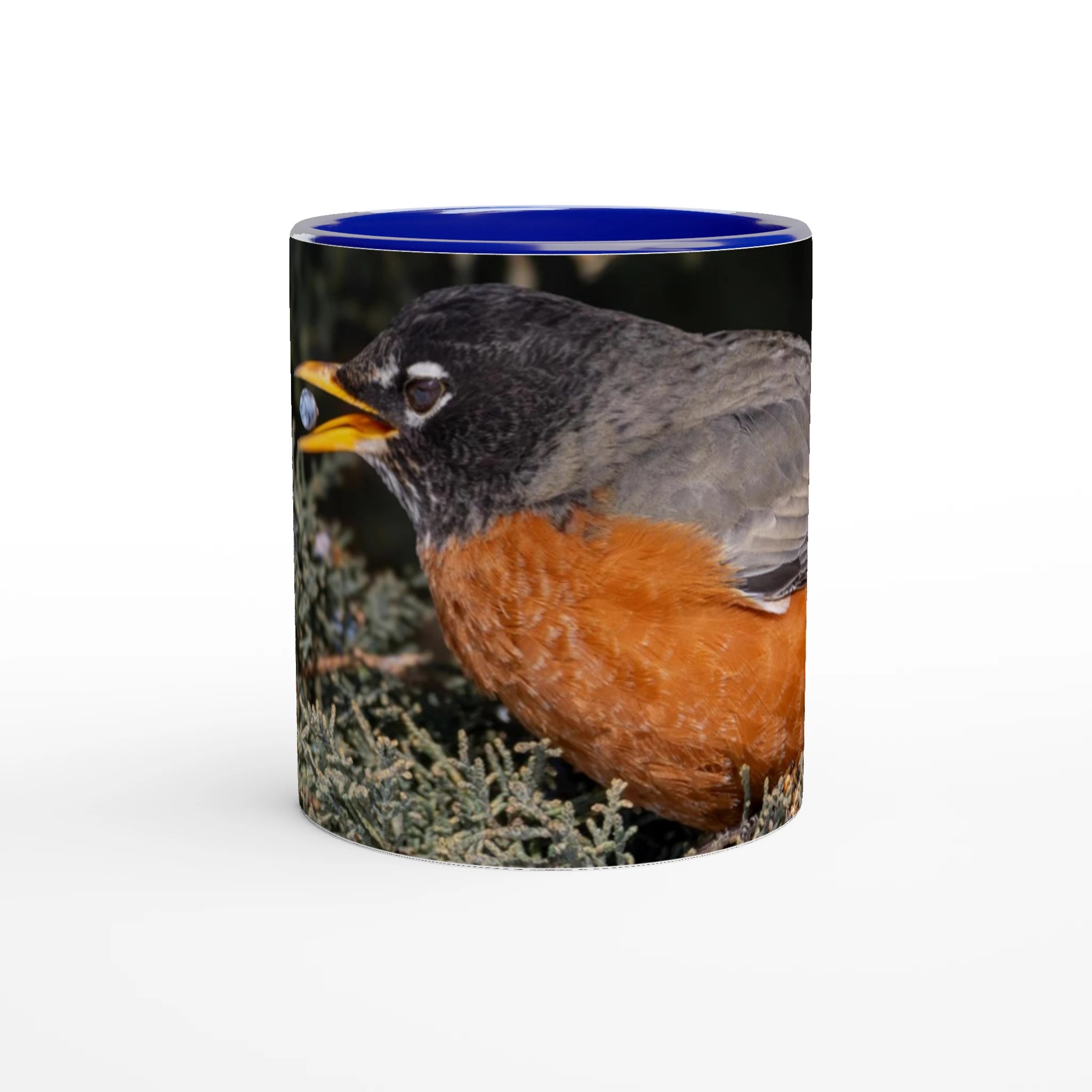 Tasse-Merle-d-amerique-bleue