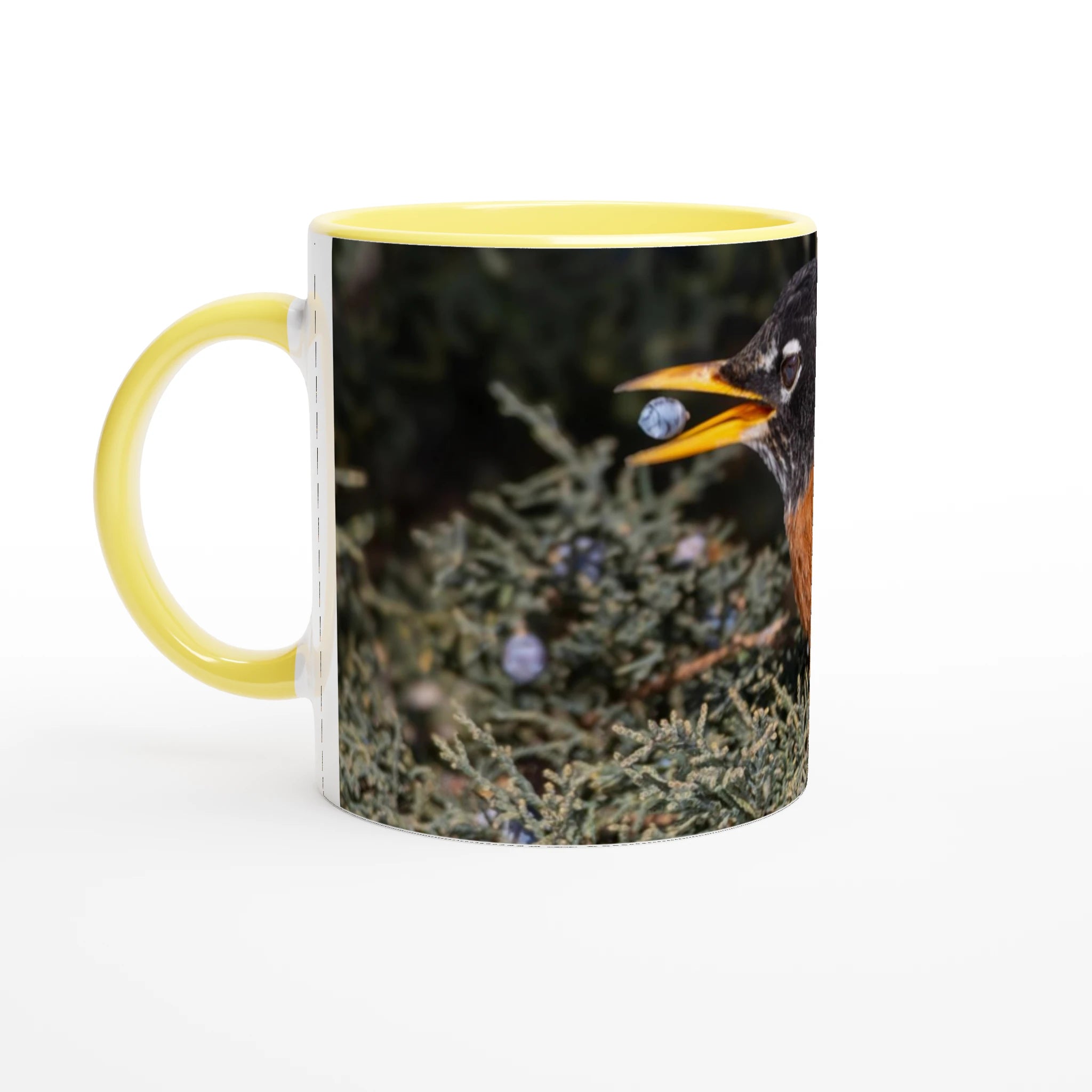 Tasse-Merle-d-amerique-jaune