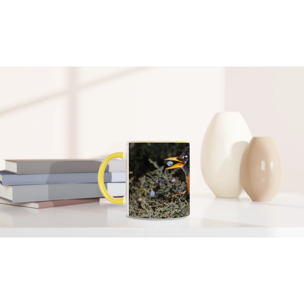 Tasse-Merle-d-amerique-montage-devant