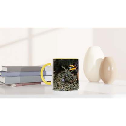 Tasse-Merle-d-amerique-montage-devant