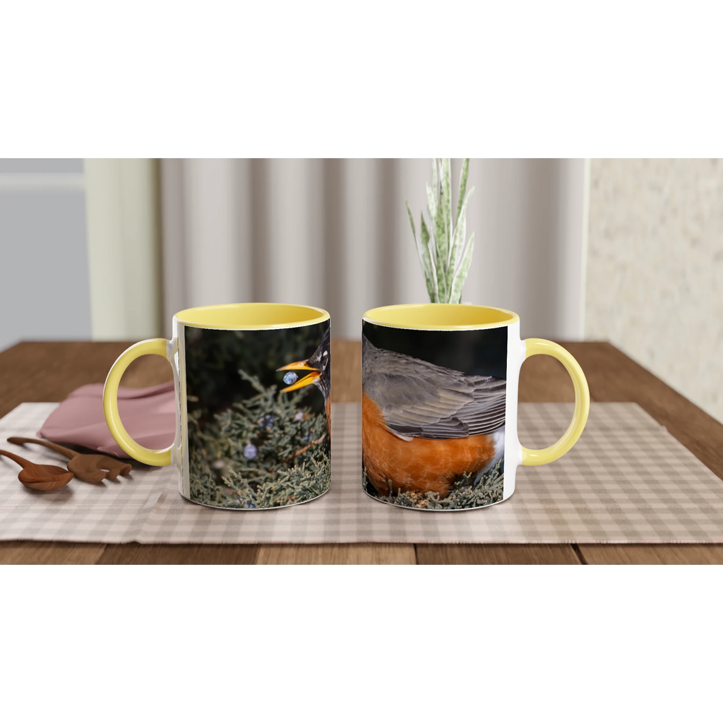 Tasse-Merle-d-amerique-montage