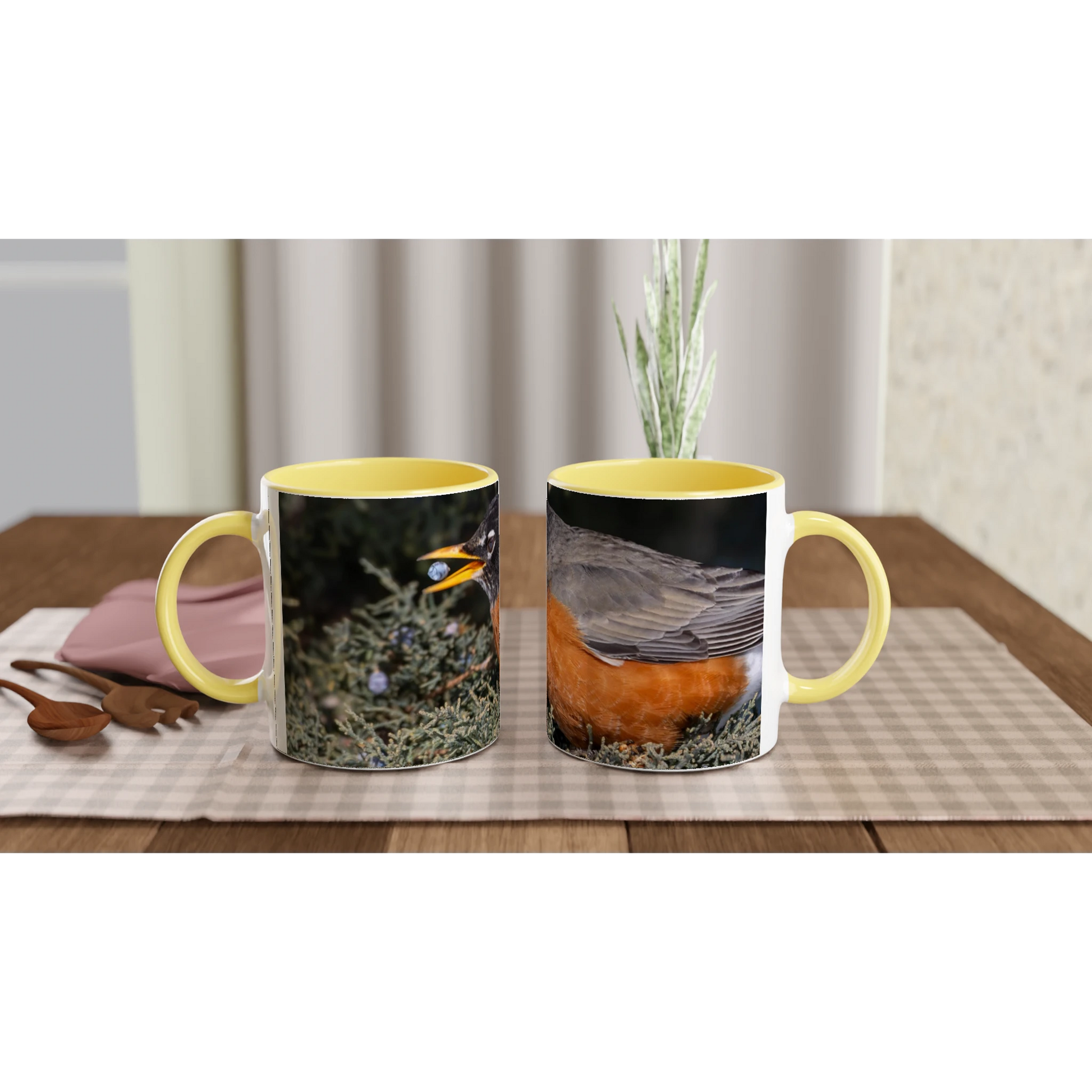 Tasse-Merle-d-amerique-montage