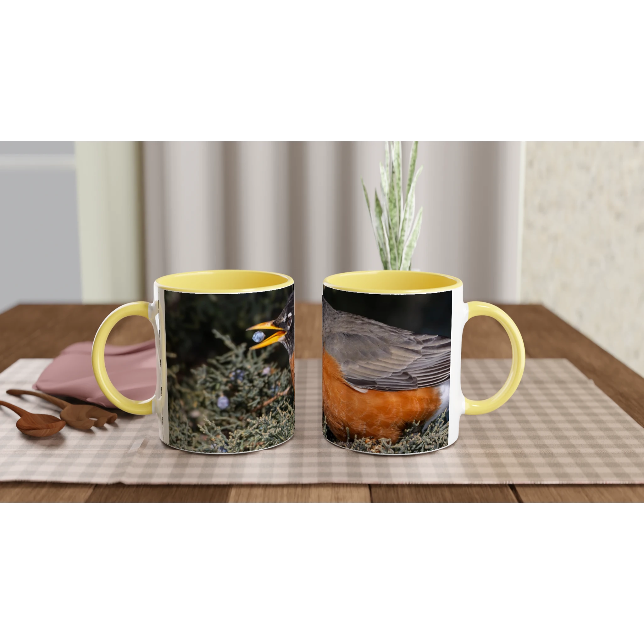 Tasse-Merle-d-amerique-montage