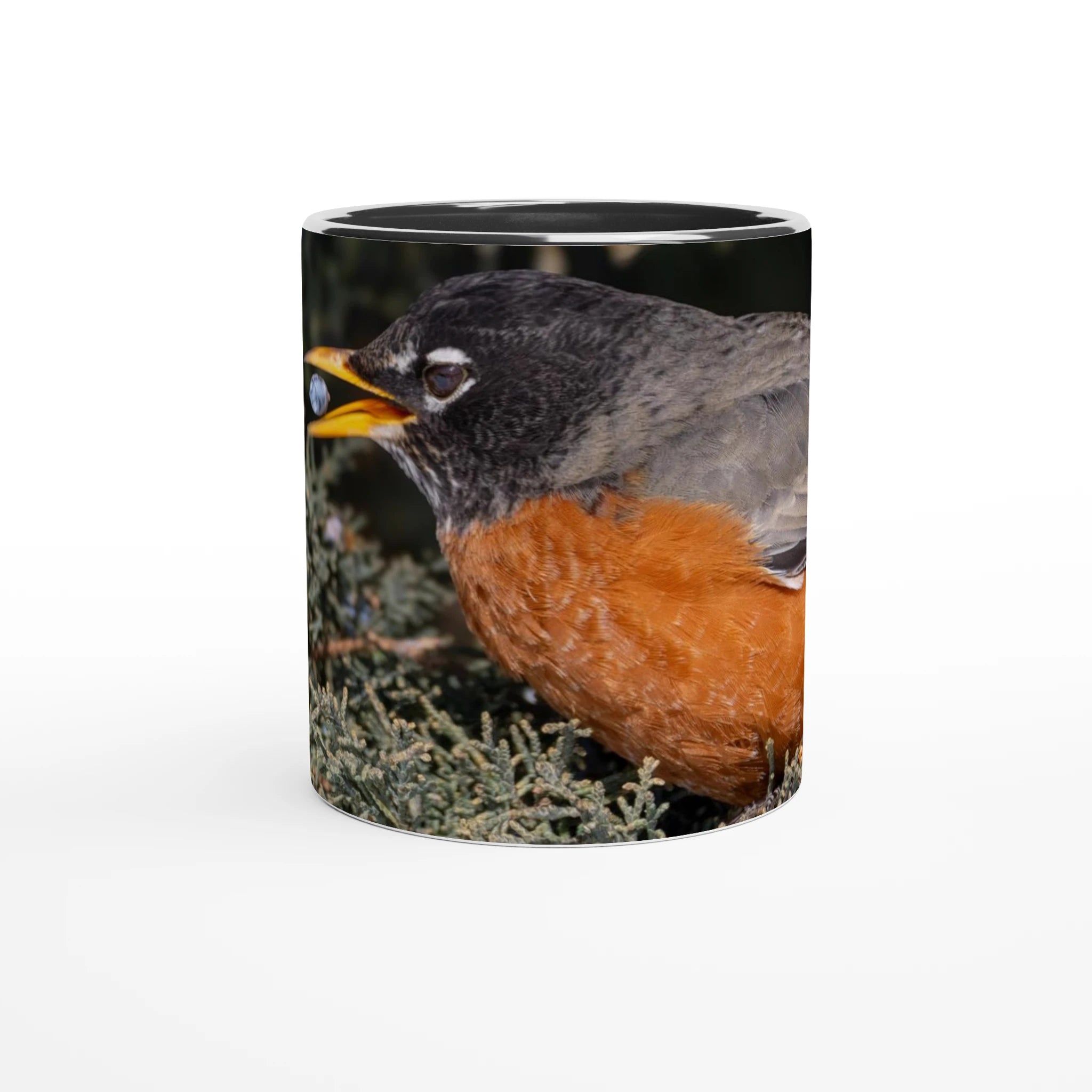 Tasse-Merle-d-amerique-noire