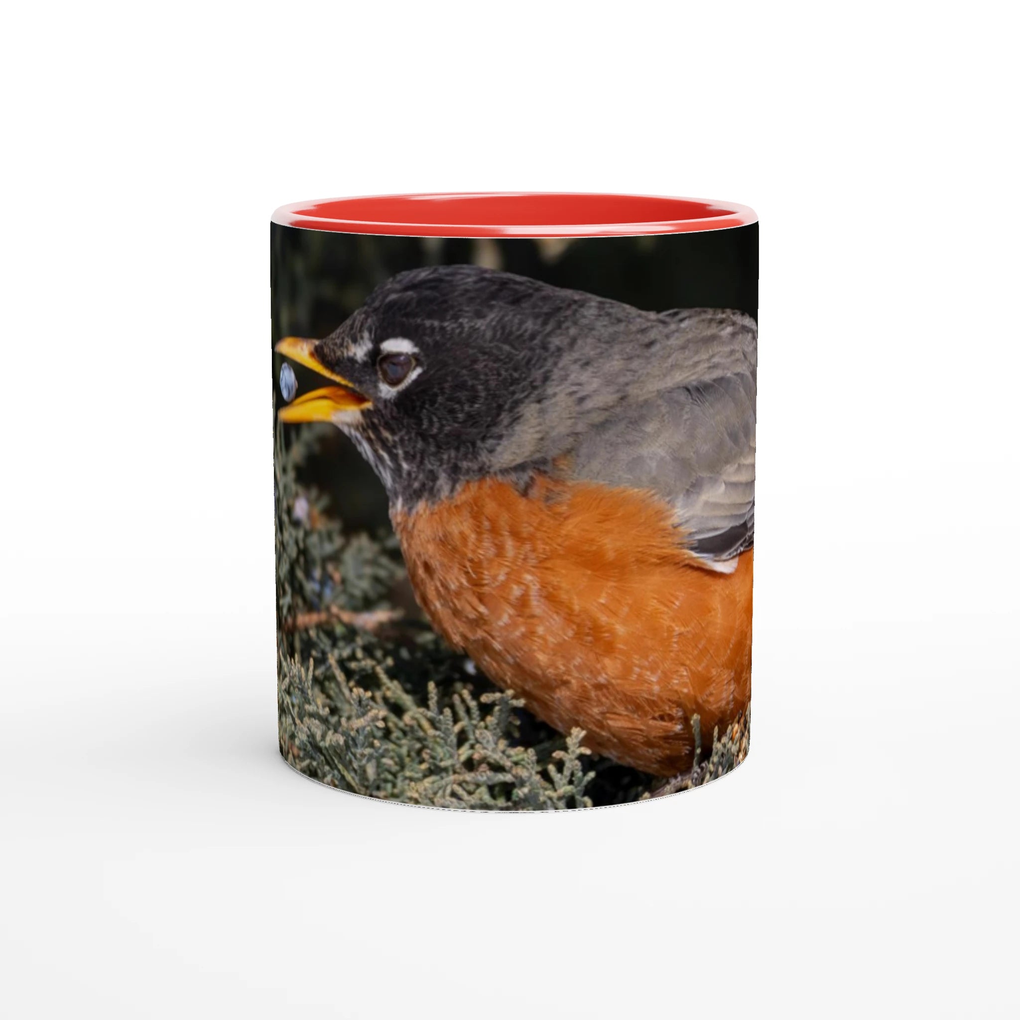 Tasse-Merle-d-amerique-rouge